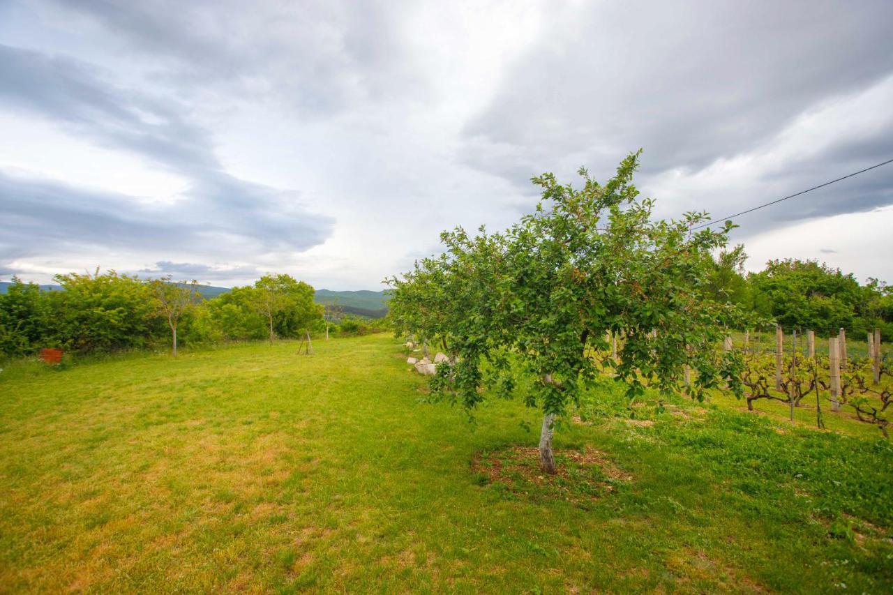 فيلا Casa Di Oliva-House With Heated Pool & Jacuzzi In Trilj, Croatia المظهر الخارجي الصورة