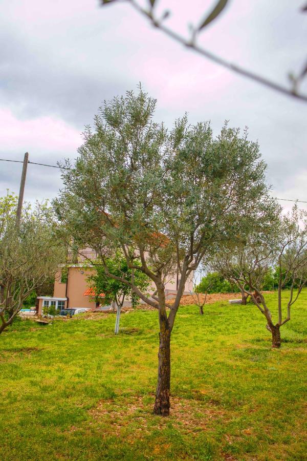 فيلا Casa Di Oliva-House With Heated Pool & Jacuzzi In Trilj, Croatia المظهر الخارجي الصورة