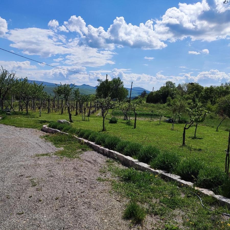 فيلا Casa Di Oliva-House With Heated Pool & Jacuzzi In Trilj, Croatia المظهر الخارجي الصورة